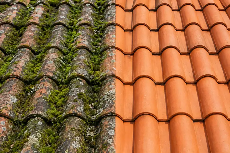 Démoussage de toiture : tuiles canal couvertes de mousse et de lichen à gauche, tuiles propres à droite
